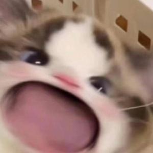 攵女h圆房～h嗯啊乱
