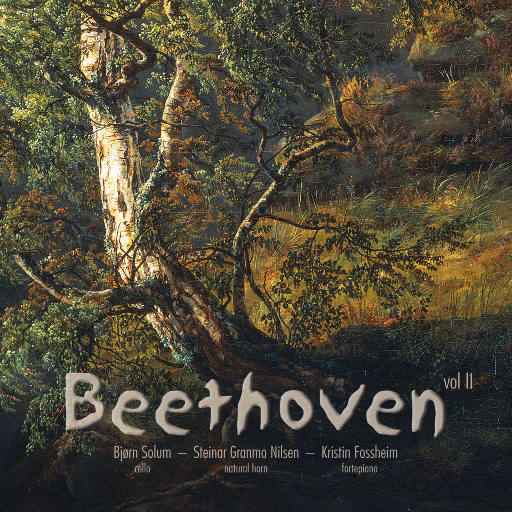 攵女h圆房～h嗯啊乱
